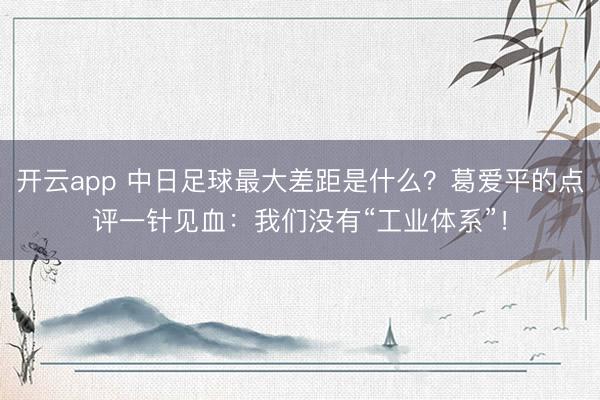 开云app 中日足球最大差距是什么？葛爱平的点评一针见血：我们没有“工业体系”！