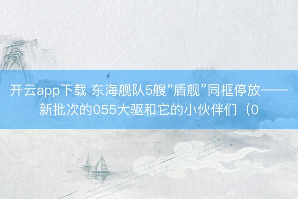 开云app下载 东海舰队5艘“盾舰”同框停放——新批次的055大驱和它的小伙伴们（0